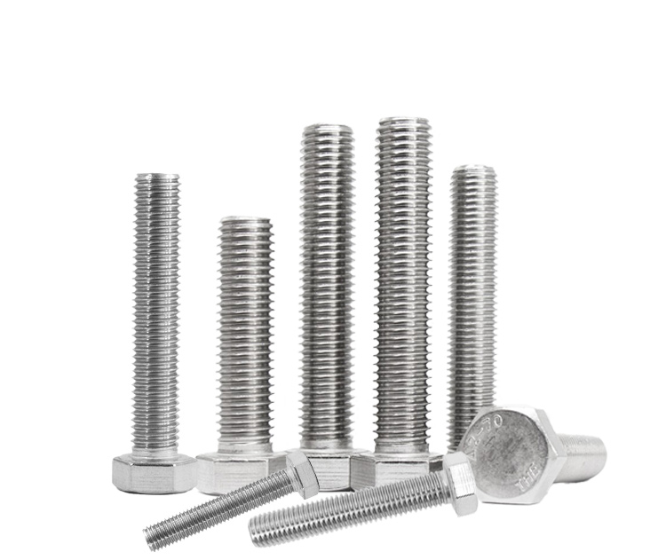 特大法螺貝 266-6334-2666334-Bearing-for-